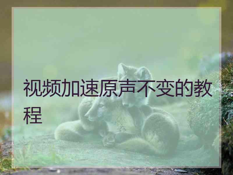 视频加速原声不变的教程