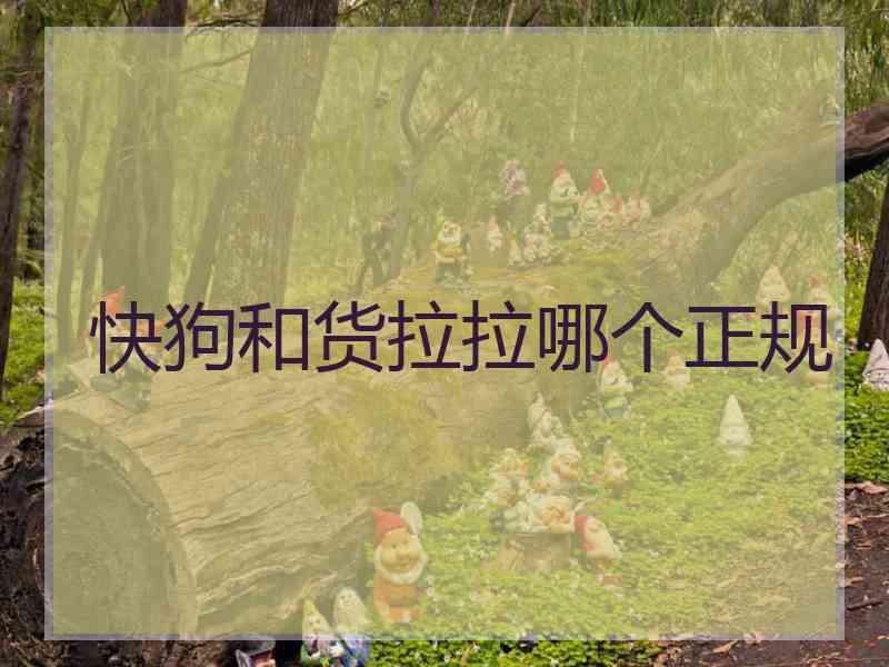快狗和货拉拉哪个正规