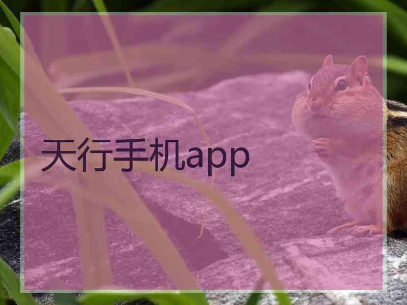 天行手机app