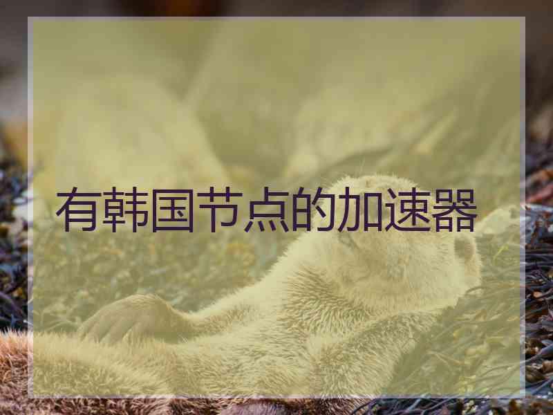 有韩国节点的加速器