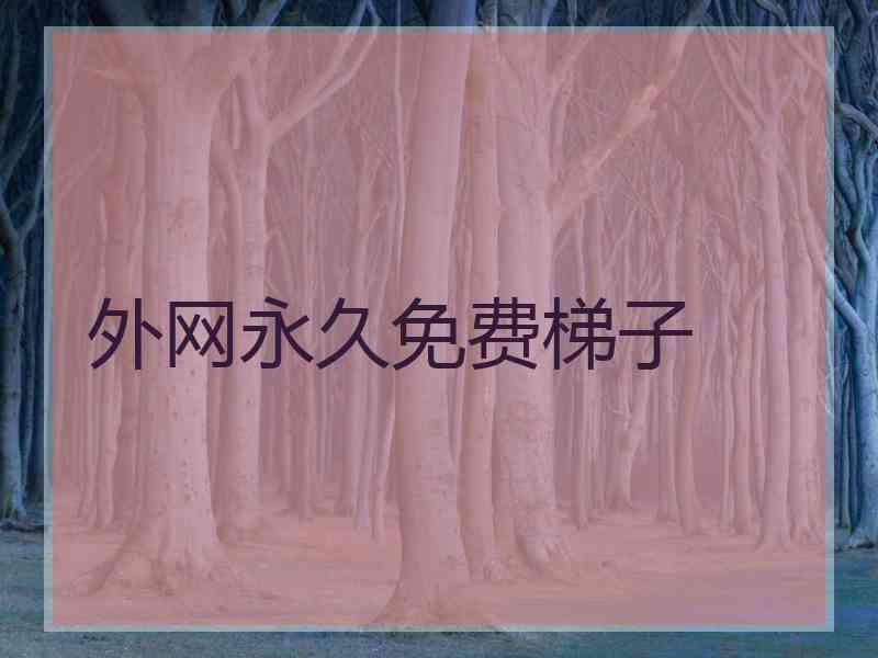 外网永久免费梯子