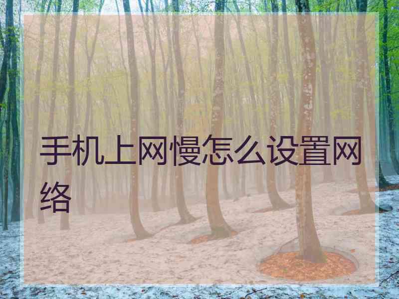 手机上网慢怎么设置网络