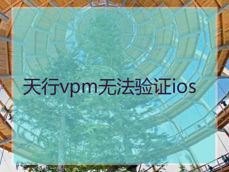 天行vpm无法验证ios