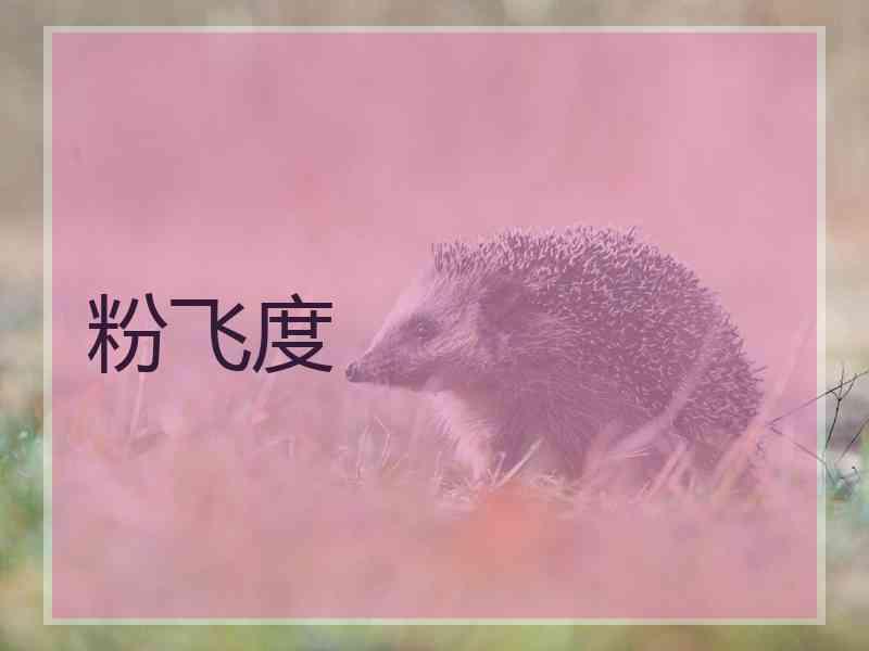 粉飞度