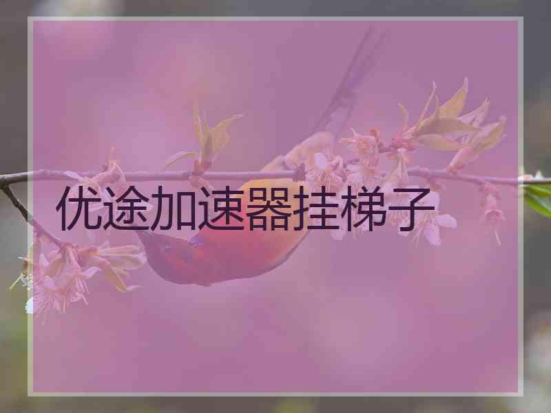 优途加速器挂梯子