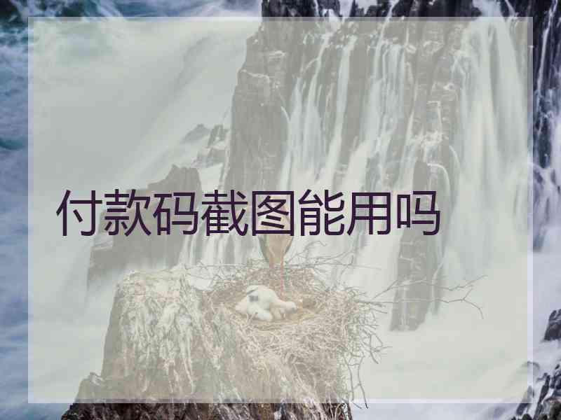 付款码截图能用吗