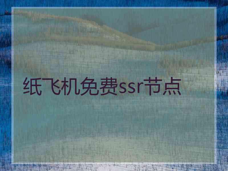 纸飞机免费ssr节点