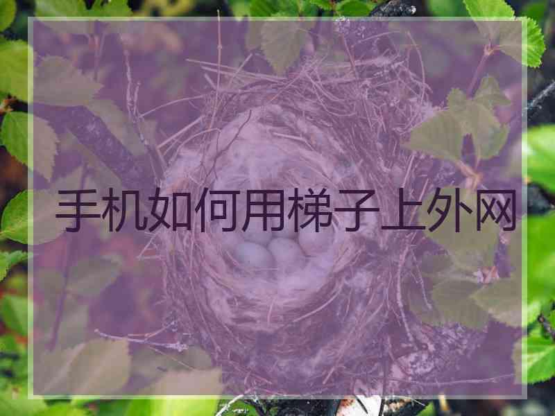 手机如何用梯子上外网