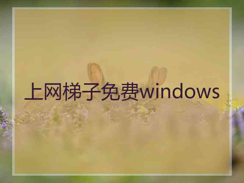 上网梯子免费windows