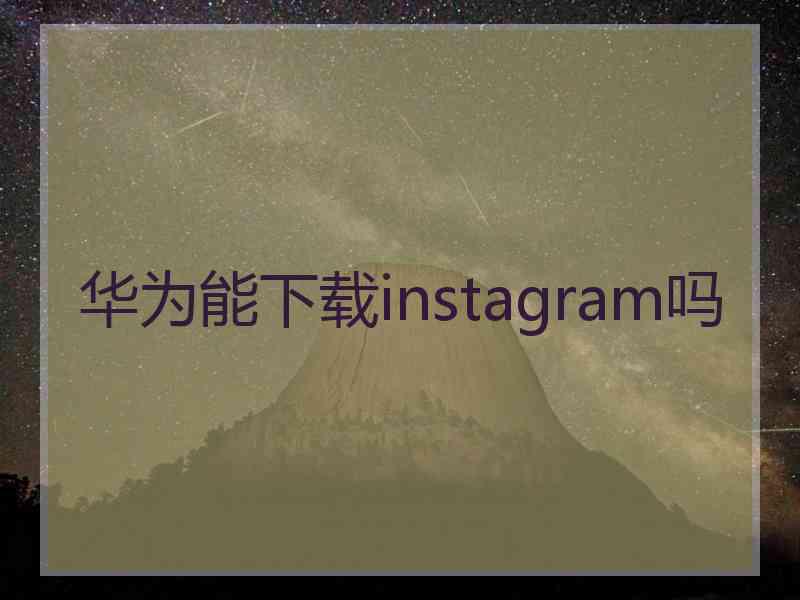 华为能下载instagram吗