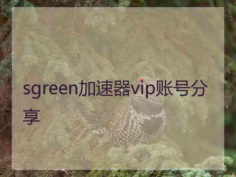 sgreen加速器vip账号分享