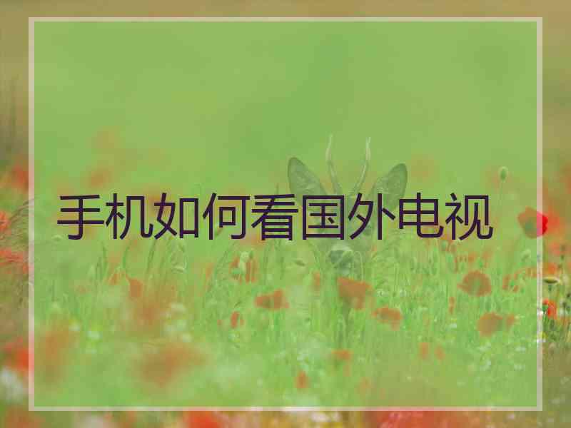 手机如何看国外电视