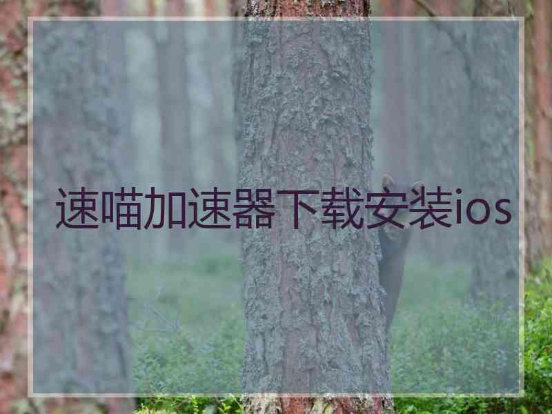 速喵加速器下载安装ios