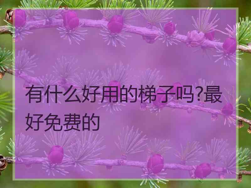 有什么好用的梯子吗?最好免费的