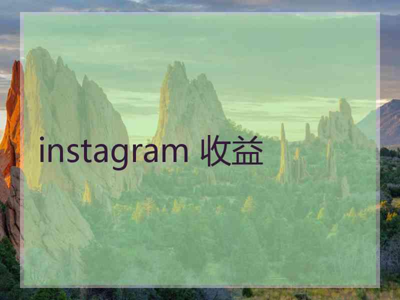 instagram 收益