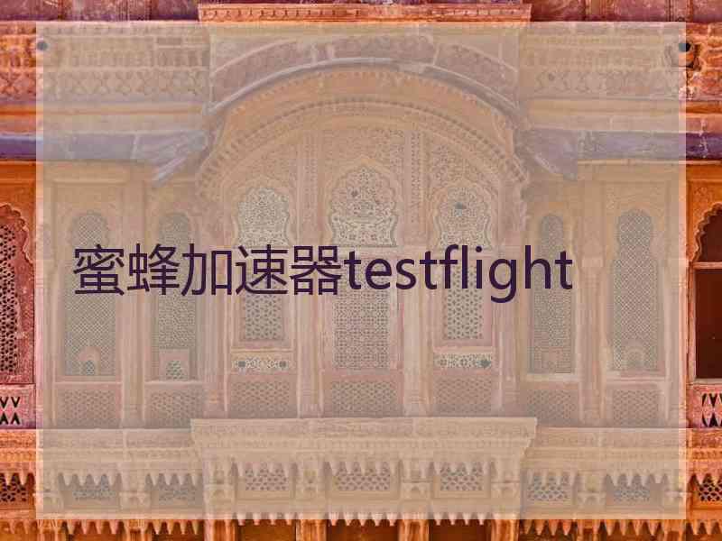 蜜蜂加速器testflight