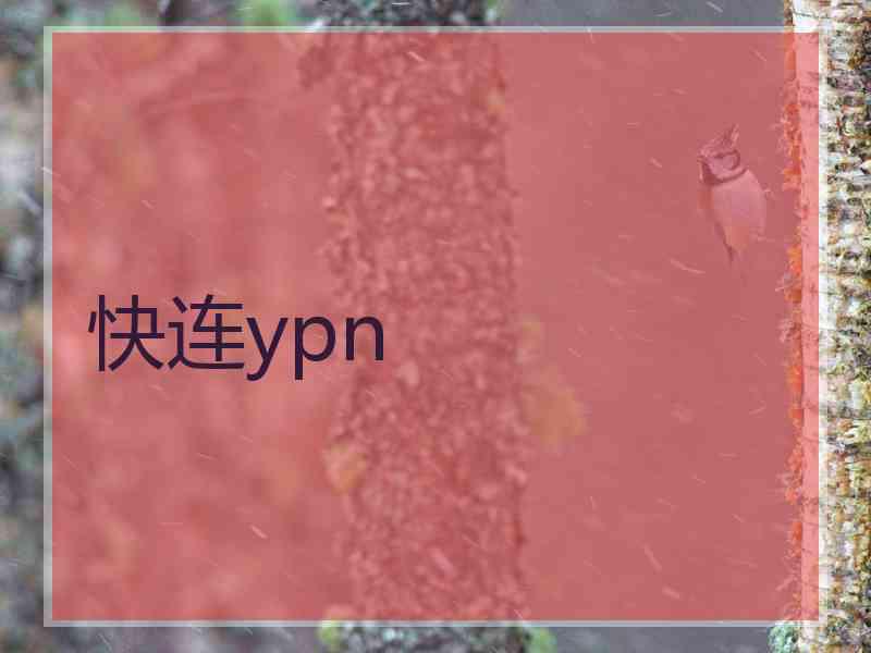 快连ypn