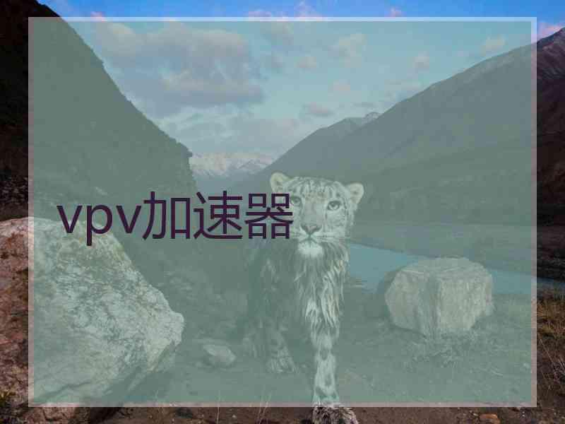 vpv加速器