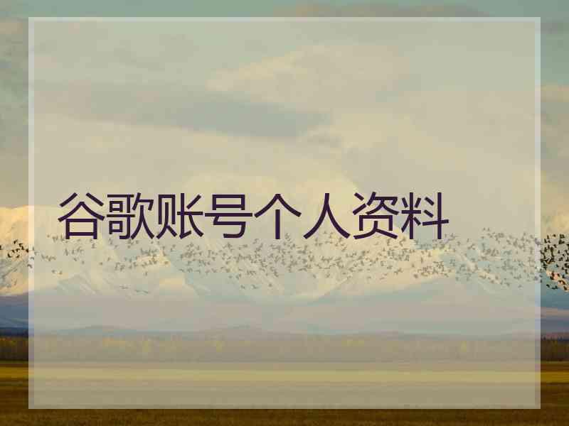 谷歌账号个人资料