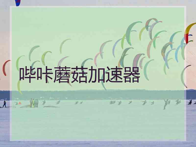 哔咔蘑菇加速器