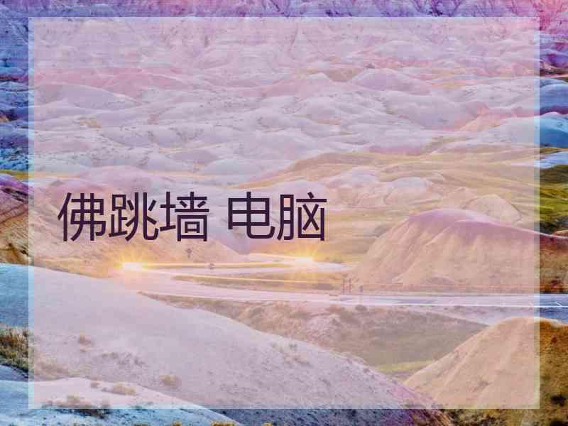 佛跳墙 电脑