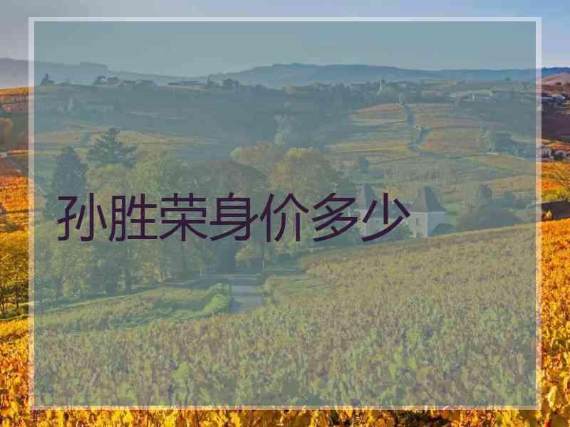 孙胜荣身价多少