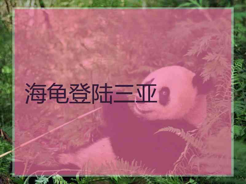 海龟登陆三亚