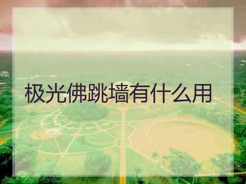极光佛跳墙有什么用