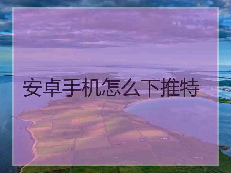 安卓手机怎么下推特