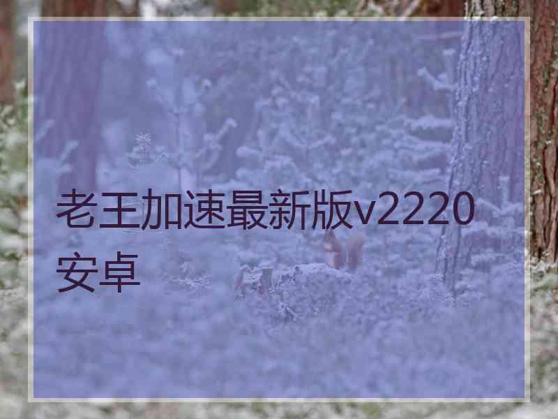 老王加速最新版v2220安卓