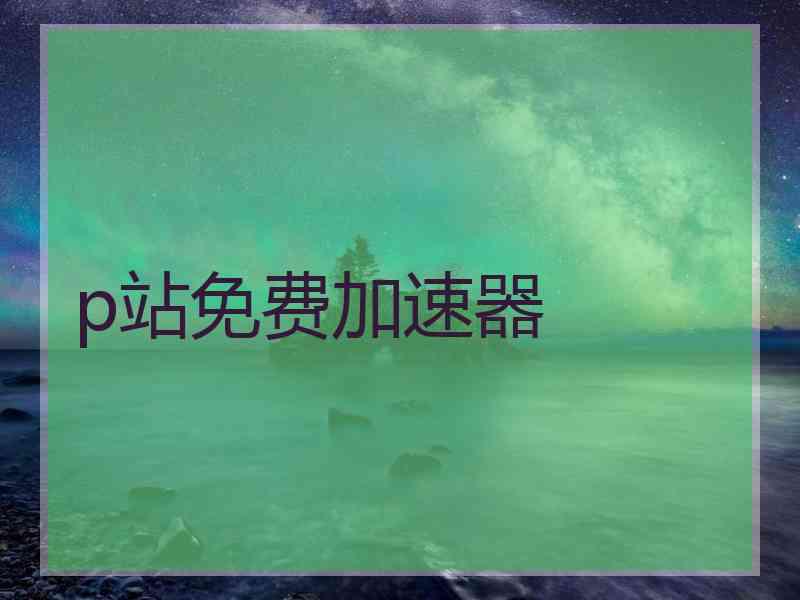 p站免费加速器