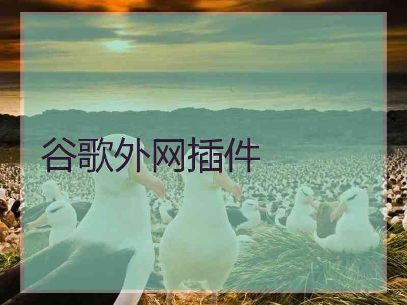 谷歌外网插件