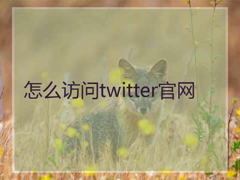 怎么访问twitter官网