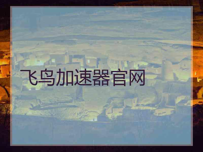 飞鸟加速器官网