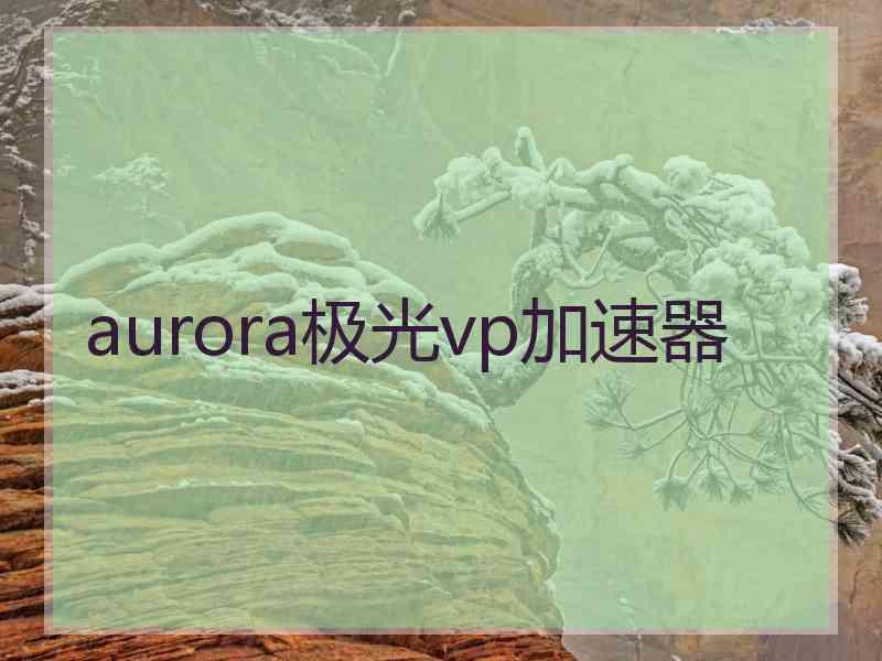 aurora极光vp加速器