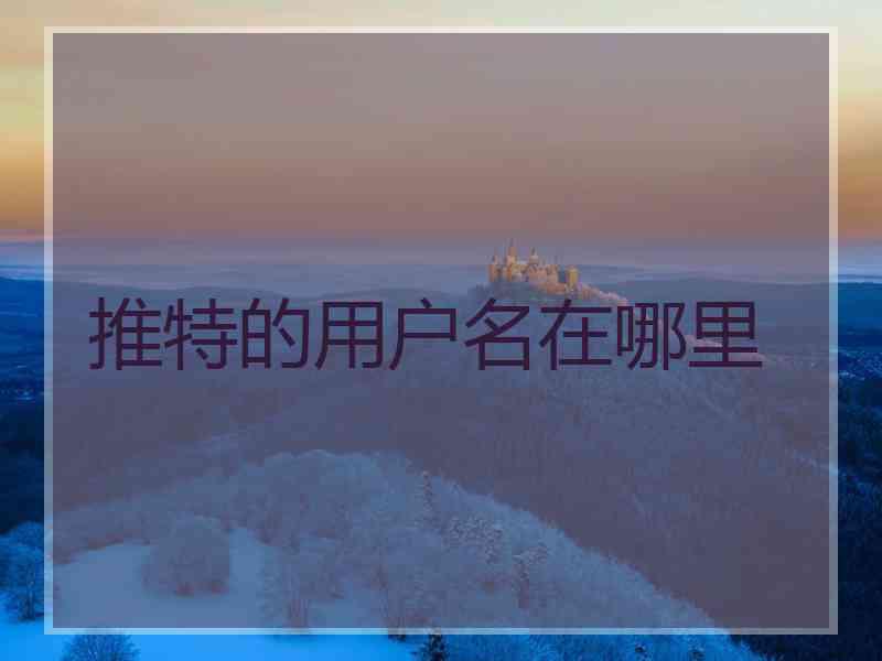 推特的用户名在哪里