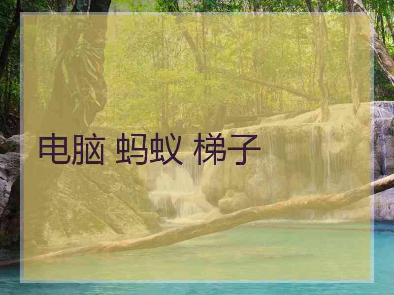电脑 蚂蚁 梯子
