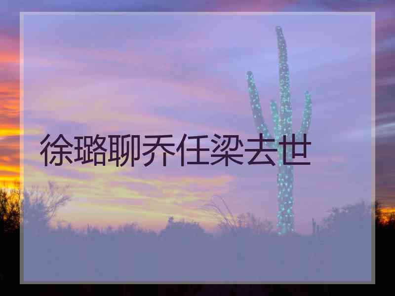 徐璐聊乔任梁去世