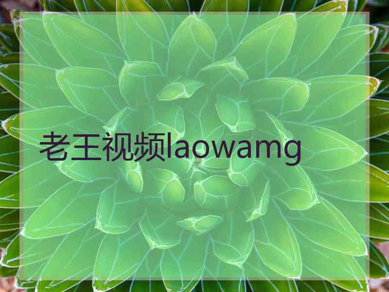老王视频laowamg