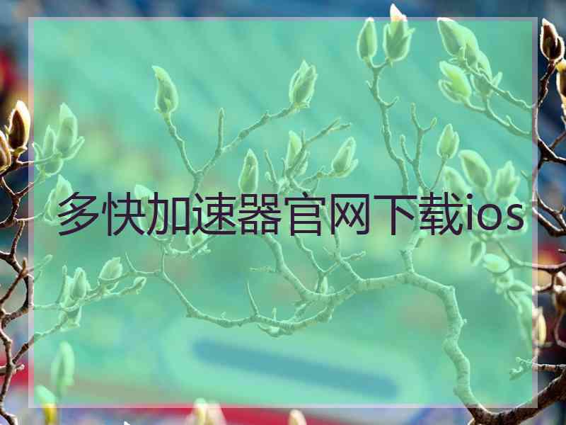 多快加速器官网下载ios
