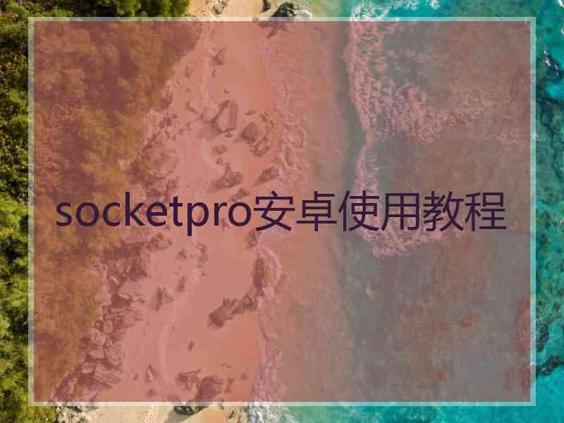 socketpro安卓使用教程