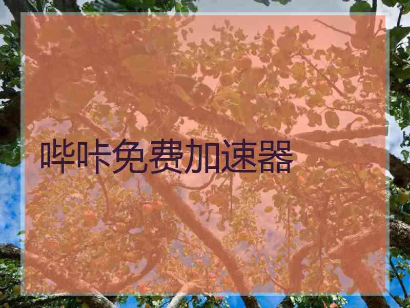 哔咔免费加速器