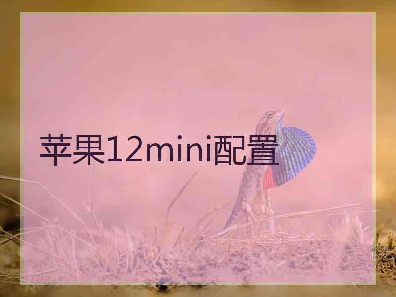 苹果12mini配置