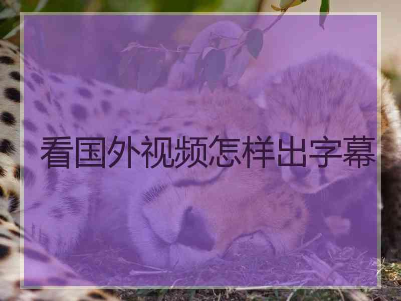 看国外视频怎样出字幕