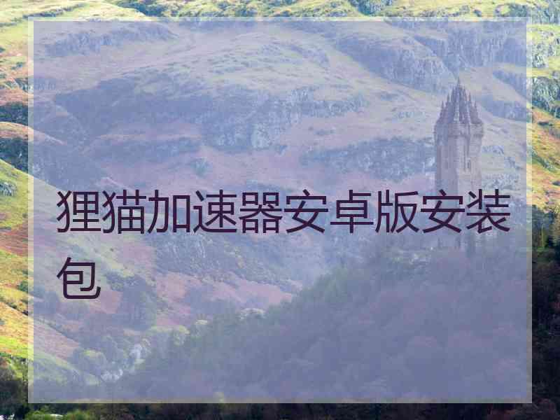 狸猫加速器安卓版安装包
