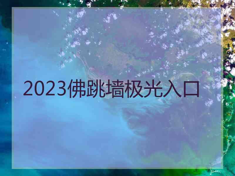 2023佛跳墙极光入口