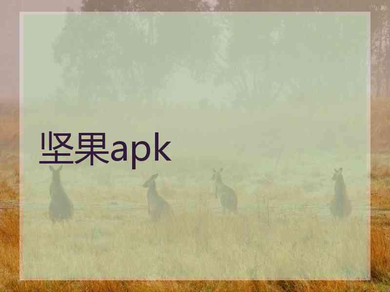 坚果apk