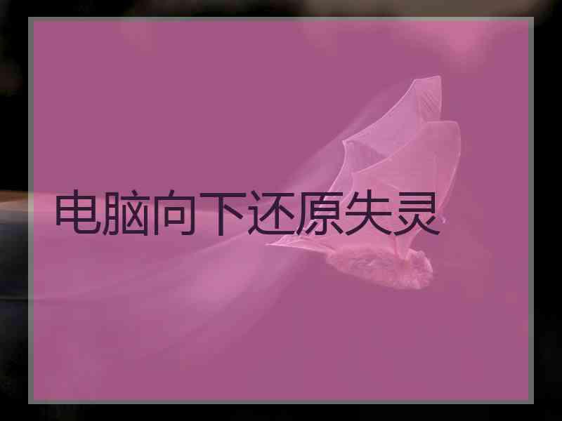 电脑向下还原失灵