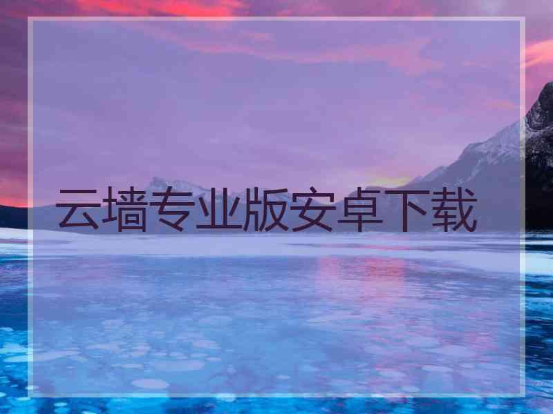 云墙专业版安卓下载