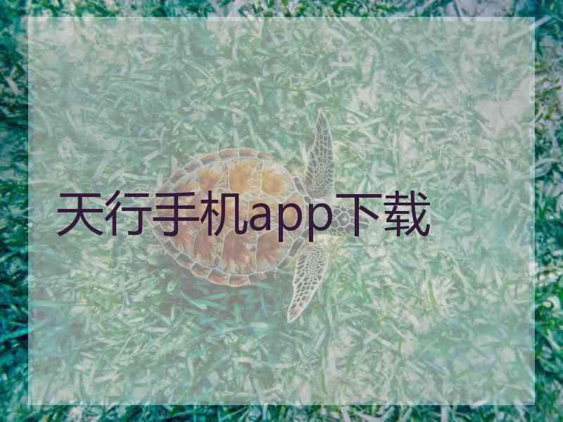 天行手机app下载